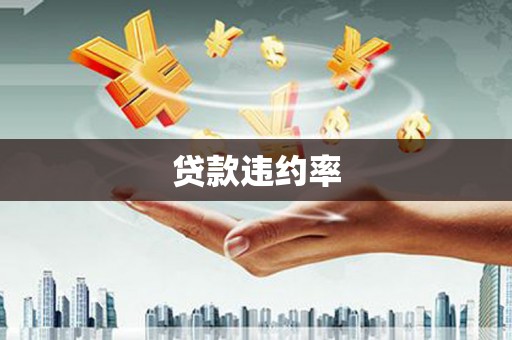 贺州贷款违约率