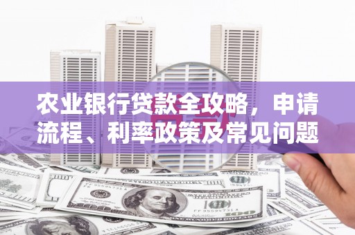 贺州农业银行贷款全攻略，申请流程、利率政策及常见问题解析