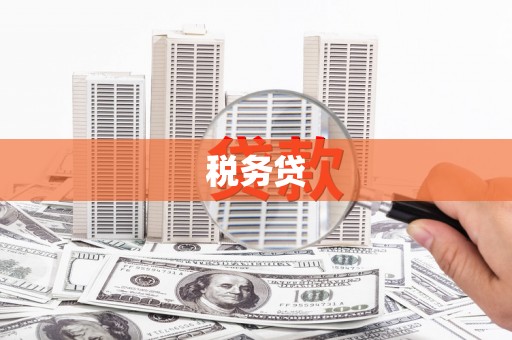 贺州税务贷