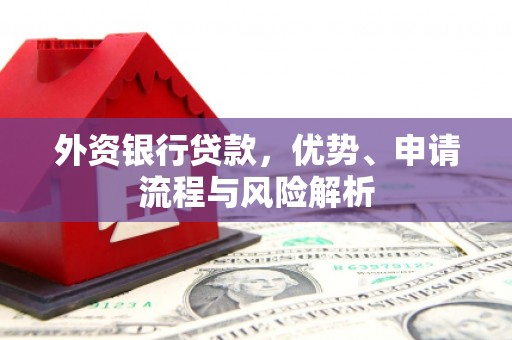 贺州外资银行贷款，优势、申请流程与风险解析