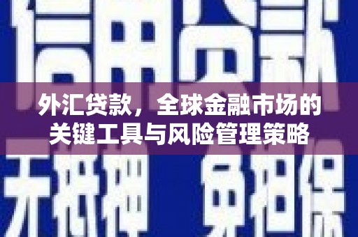 贺州外汇贷款，全球金融市场的关键工具与风险管理策略