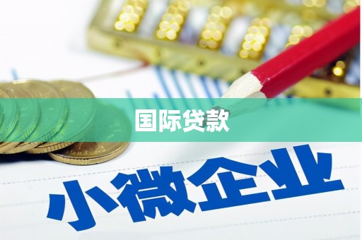 贺州国际贷款