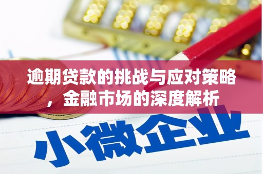 贺州逾期贷款的挑战与应对策略，金融市场的深度解析