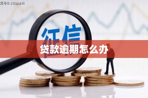 贺州贷款逾期怎么办