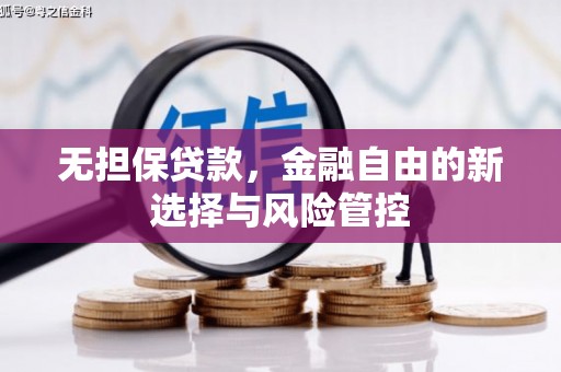 贺州无担保贷款，金融自由的新选择与风险管控