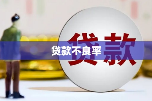 贺州贷款不良率