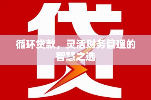 贺州循环贷款，灵活财务管理的智慧之选