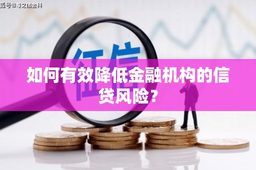 贺州如何有效降低金融机构的信贷风险？