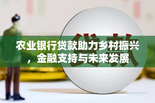 贺州农业银行贷款助力乡村振兴，金融支持与未来发展