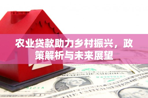 贺州农业贷款助力乡村振兴，政策解析与未来展望