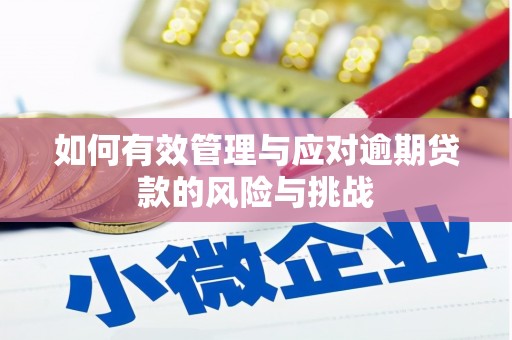 贺州如何有效管理与应对逾期贷款的风险与挑战