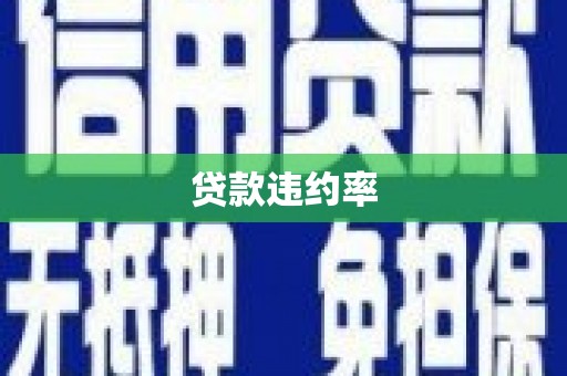 贺州贷款违约率
