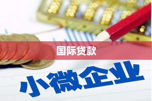 贺州国际贷款