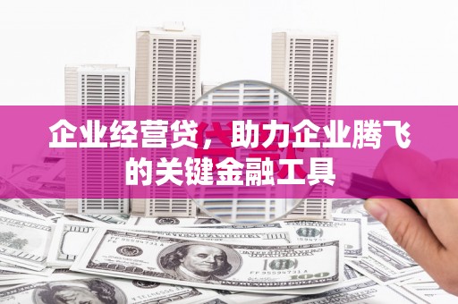 贺州企业经营贷，助力企业腾飞的关键金融工具