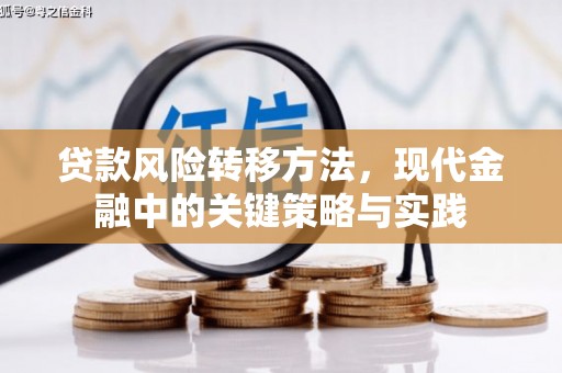 贺州贷款风险转移方法，现代金融中的关键策略与实践