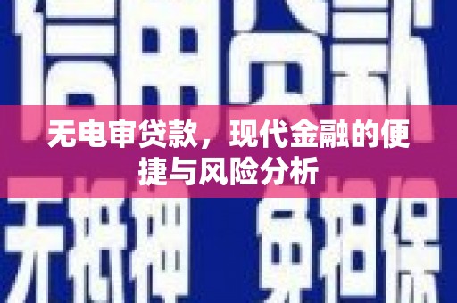 贺州无电审贷款，现代金融的便捷与风险分析