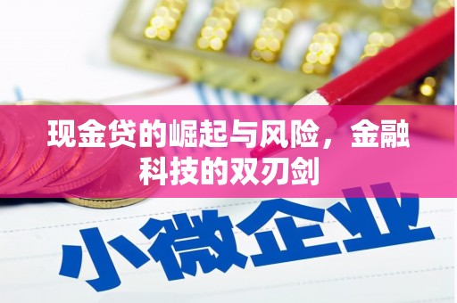 贺州现金贷的崛起与风险，金融科技的双刃剑
