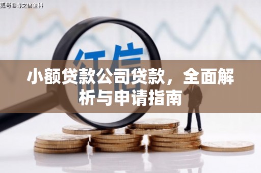 贺州小额贷款公司贷款，全面解析与申请指南