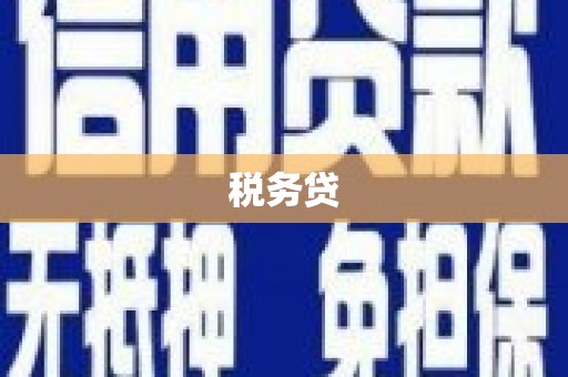 贺州税务贷