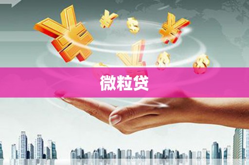 贺州微粒贷