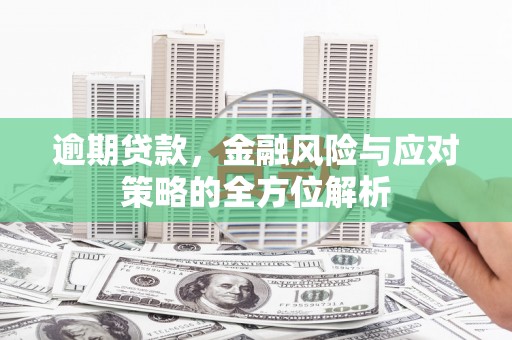 贺州逾期贷款，金融风险与应对策略的全方位解析