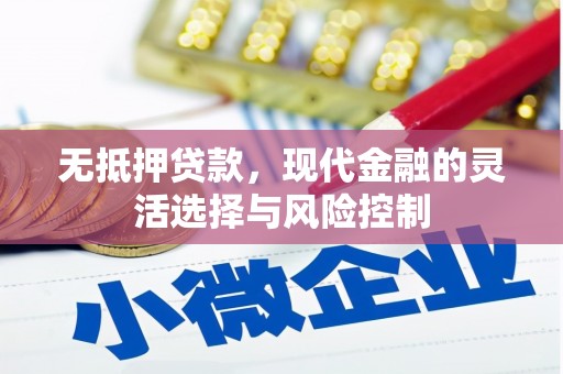贺州无抵押贷款，现代金融的灵活选择与风险控制