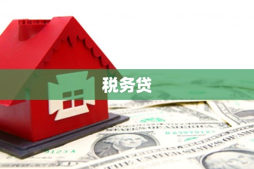贺州税务贷