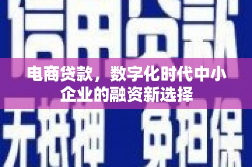 贺州电商贷款，数字化时代中小企业的融资新选择