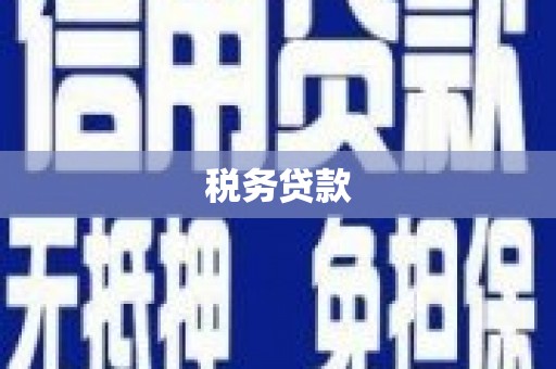 贺州税务贷款