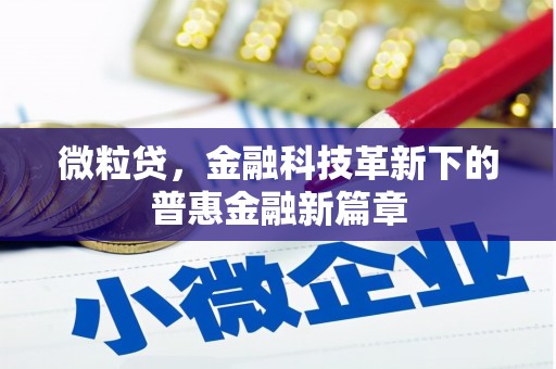 贺州微粒贷，金融科技革新下的普惠金融新篇章