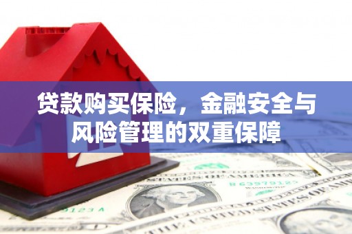 贺州贷款购买保险，金融安全与风险管理的双重保障