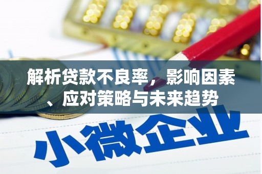 贺州解析贷款不良率，影响因素、应对策略与未来趋势