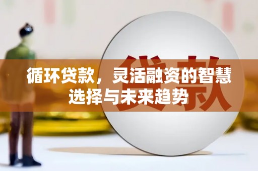 贺州循环贷款，灵活融资的智慧选择与未来趋势