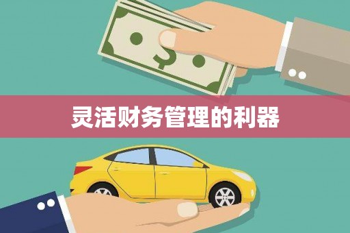贺州灵活财务管理的利器