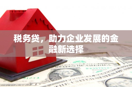 贺州税务贷，助力企业发展的金融新选择