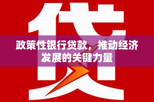 贺州政策性银行贷款，推动经济发展的关键力量