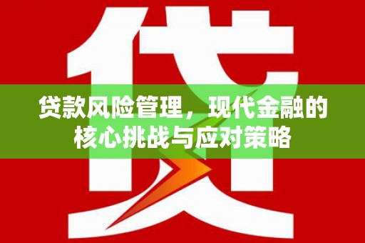 贺州贷款风险管理，现代金融的核心挑战与应对策略