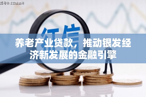 贺州养老产业贷款，推动银发经济新发展的金融引擎