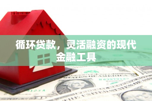 贺州循环贷款，灵活融资的现代金融工具