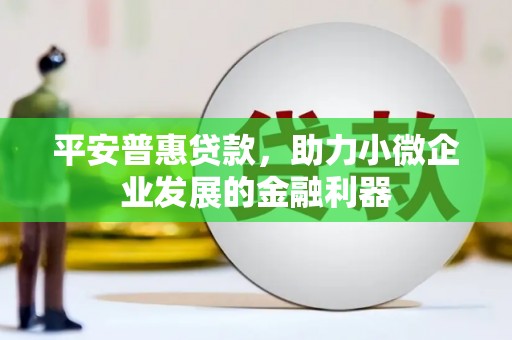 贺州平安普惠贷款，助力小微企业发展的金融利器