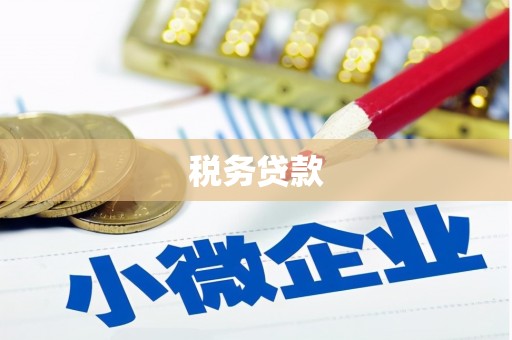 贺州税务贷款