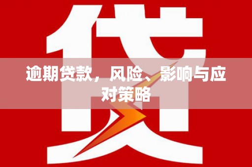 贺州逾期贷款，风险、影响与应对策略