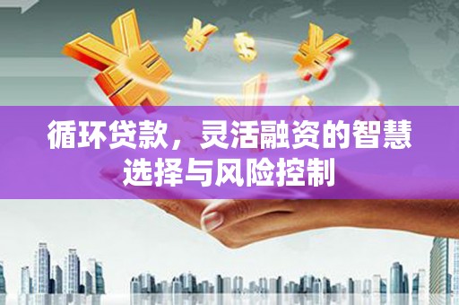 贺州循环贷款，灵活融资的智慧选择与风险控制