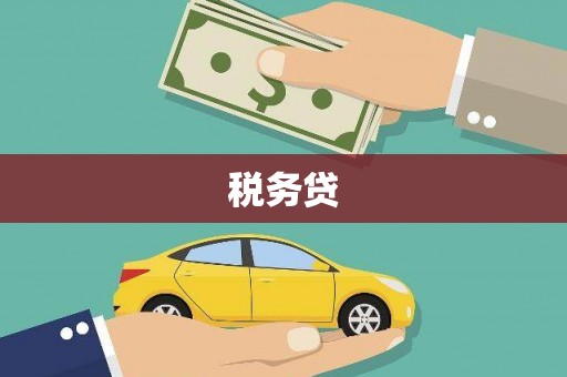 贺州税务贷