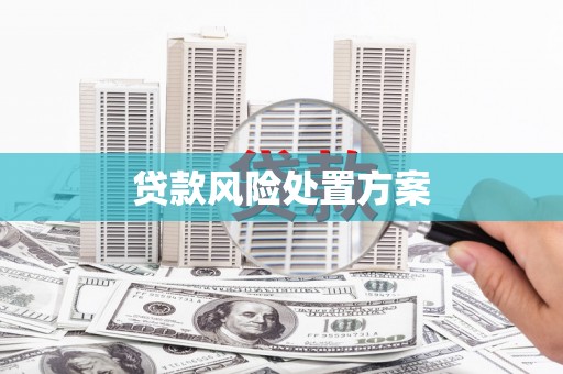 贺州贷款风险处置方案