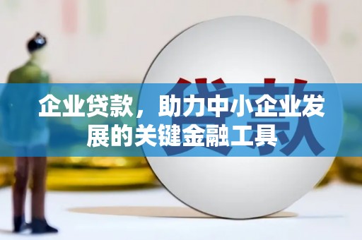 贺州企业贷款，助力中小企业发展的关键金融工具