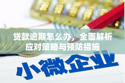 贺州贷款逾期怎么办，全面解析应对策略与预防措施