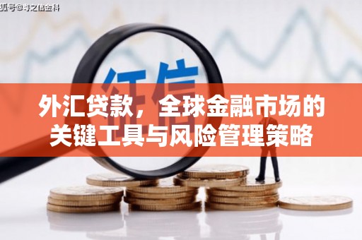 贺州外汇贷款，全球金融市场的关键工具与风险管理策略