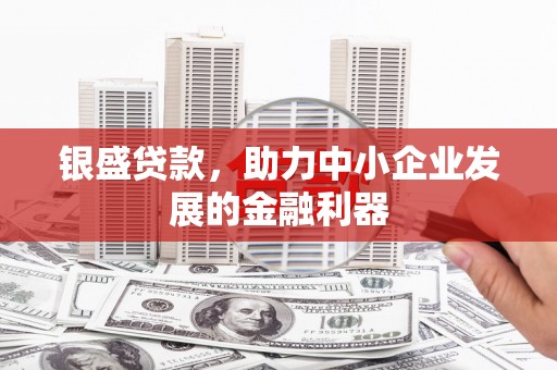 贺州银盛贷款，助力中小企业发展的金融利器