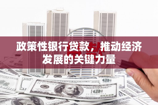贺州政策性银行贷款，推动经济发展的关键力量